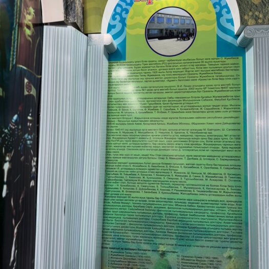 WhatsApp Image 2025-11-19 at 11.46.33 (3)